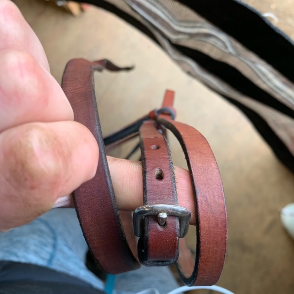 In hand show halter - Picture 3 of 5